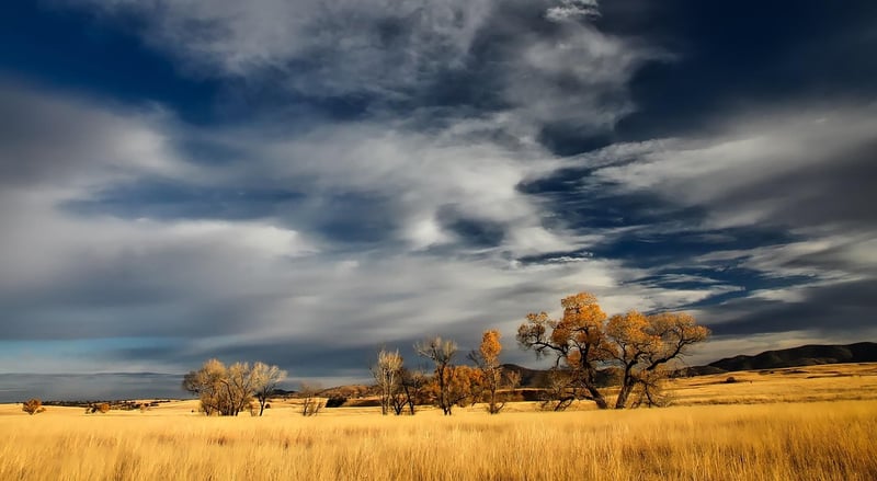 Patagonia Landscape