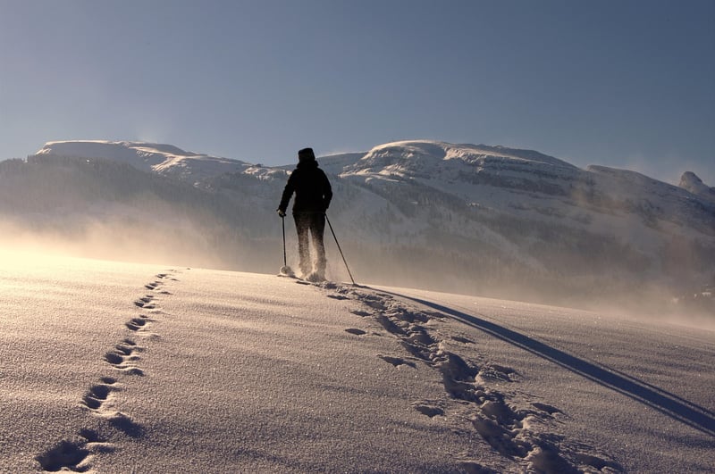 Mountain Trekking